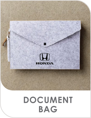 Document Bag