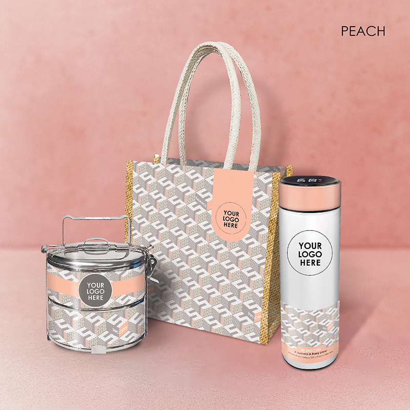 3D Success-Exterior-Peach2 copy