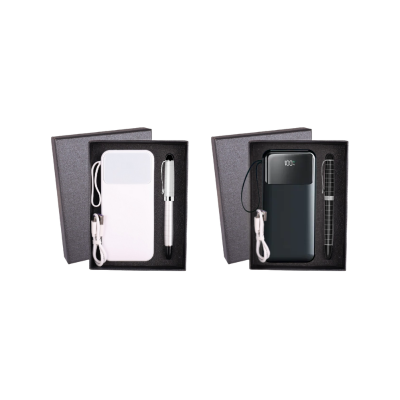 2 BSGIFTS Gift Set 2 in 1- Power Duo Gift Set (Power Bank, Metal Pen)