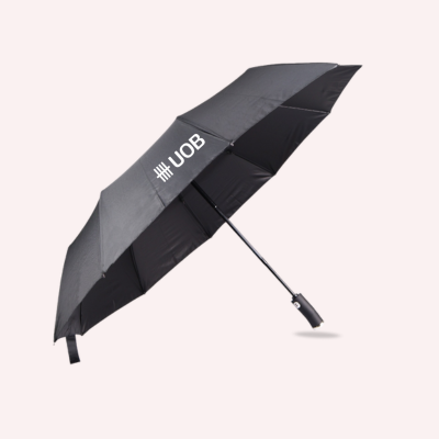 1 BSGIFTS 22 inches Automatic Foldable Umbrella with LED Light and pouch