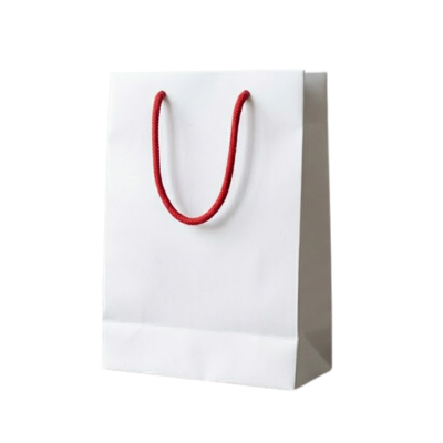 2 BSGIFTS 157gsm Art Paper Bag - 20 x 29 (H) x 9.5 cm(D) - Custom Made