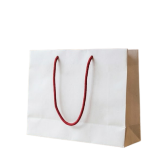 2 BSGIFTS 157gsm Art Paper Bag – 32 x 23 (H) x 9.5 cm(D) – Custom Made