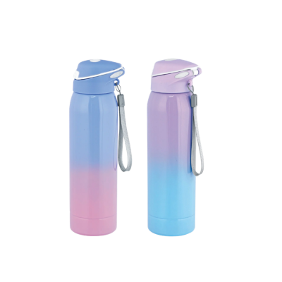 2 BSGIFTS Stainless Steel 304 Vacuum Flask 500ml - 25cm (H) x 6.5cm(D)