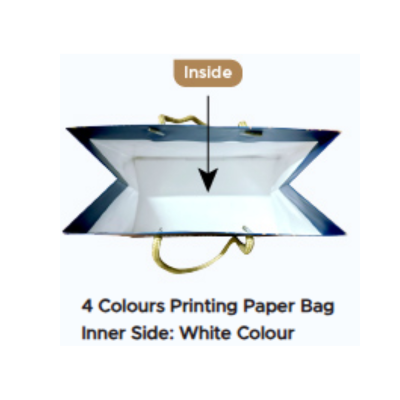 3(1) BSGIFTS 157gsm Art Paper Bag - 20 x 29 (H) x 9.5 cm(D) - Custom Made