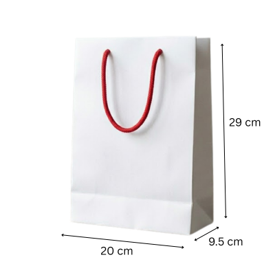 3(2) BSGIFTS 157gsm Art Paper Bag - 20 x 29 (H) x 9.5 cm(D) - Custom Made