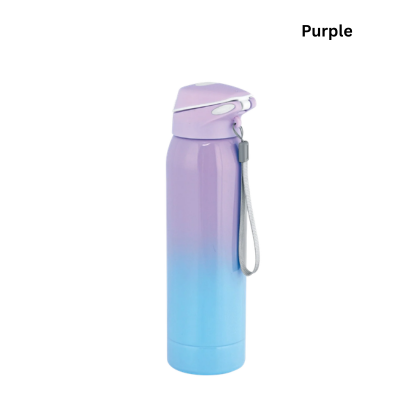 4(2) BSGIFTS Stainless Steel 304 Vacuum Flask 500ml - 25cm (H) x 6.5cm(D)