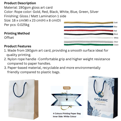 5 BSGIFTS 157gsm Art Paper Bag - 25 x 35(H) x 9.5 cm(D) - Custom Made