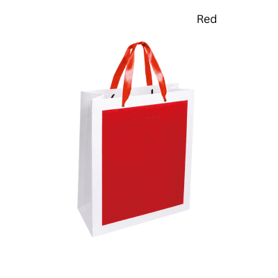4(2) BSGIFTS A4 Paper Bag with Handles
