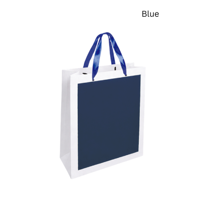 4(3) BSGIFTS A4 Paper Bag with Handles