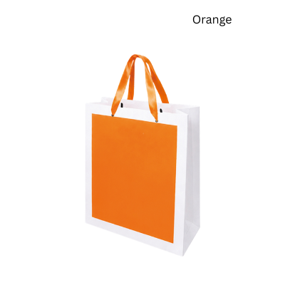 4(4) BSGIFTS A4 Paper Bag with Handles
