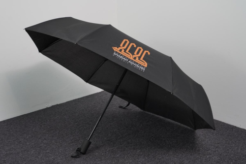 404-33001-21-Foldable-Auto-Open-Umbrella
